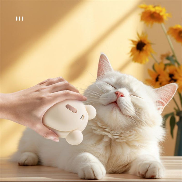 PET BRUSH