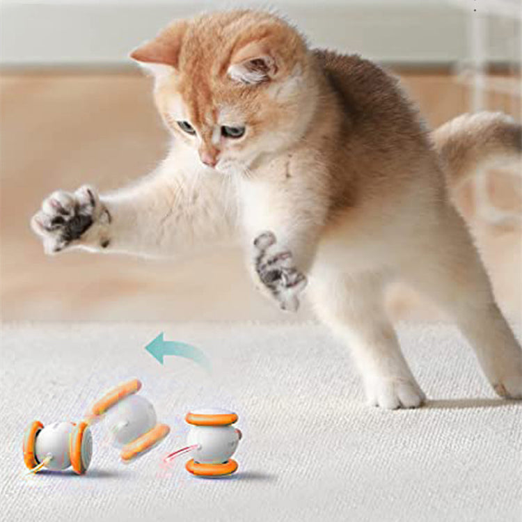 CAT TOYS