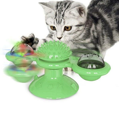Cat playing with a green rotating toy