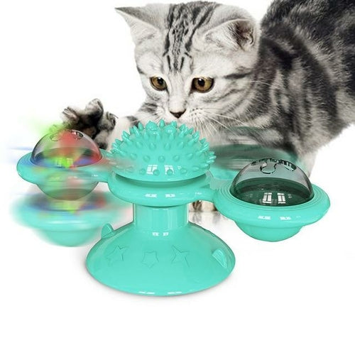 Cat playing with a green rotating toy