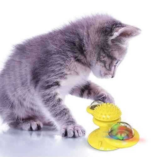 Gray kitten playing with a yellow and rainbow-colored rotating toy on a white background